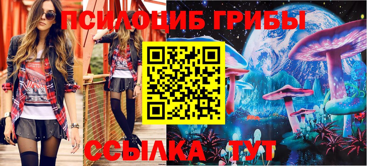 Галлюциногенные грибы Psilocybine cubensis  Вход с VPN  Назрань 