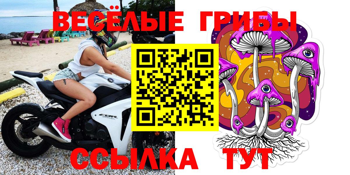Псилоцибиновые грибы Psilocybe Назрань